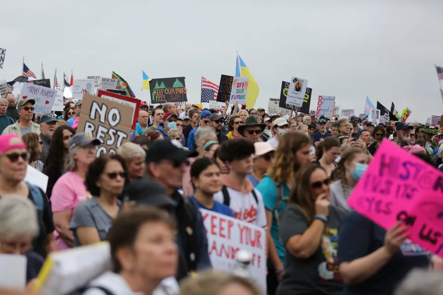 Protesters at a Hands Off Rally